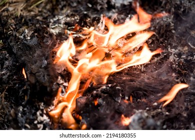 Garbage Fire That Is Black Ashes