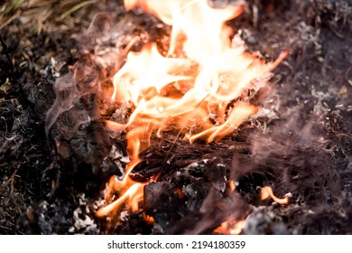 Garbage Fire That Is Black Ashes