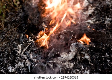 Garbage Fire That Is Black Ashes