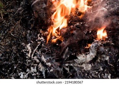 Garbage Fire That Is Black Ashes