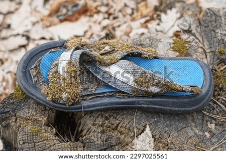 garbage from one colored old dirty plastic sandal overgrown with green moss stands on a gray stump in nature on the street