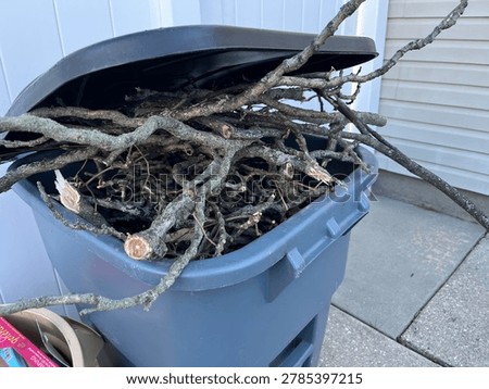 A garbage pail full of cut branches.