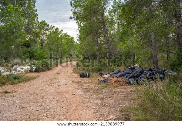 Garbage in plastic bags lying in\
forest at a rural road in Tarragona, Costa Dorada, Catalonia,\
Spain