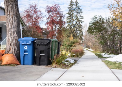 Garbage And Recycling Bins Awaiting Pickup