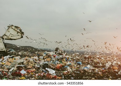 Garbage Truck On A Landfill