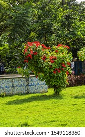 Garcia De Orta Public Municipal Garden (1855)in Panjim. Panjim (Panaji) - Capital Of Indian State Of Goa And Headquarters Of North Goa District.