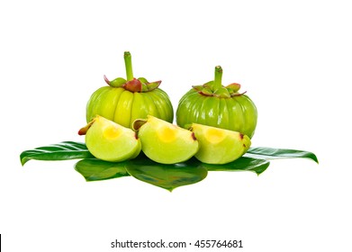 Pure green coffee bean extract canada walmart image 8