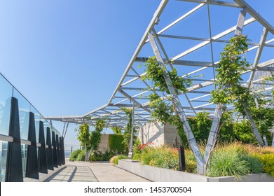 The Garden At 120, A Roof Garden In The City Of London, UK