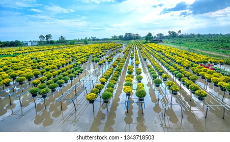 357 Hydroponics In Vietnam Images, Stock Photos & Vectors | Shutterstock