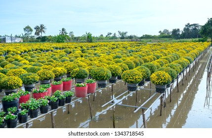 357 Hydroponics In Vietnam Images, Stock Photos & Vectors | Shutterstock