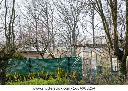 garden allotment plot in spring time 