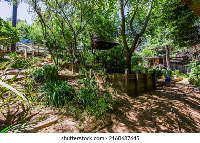 Garden Area Under Trees In A Private Wine Country Home, Sonoma County, California