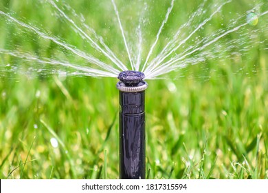 Garden Automatic Irrigation System Spray Watering Lawn.