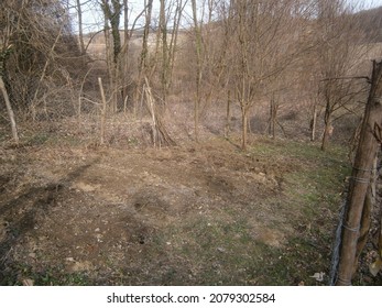 Garden In Autumn - Barren Land, No Vegetables, Decidous Trees Without Leaves