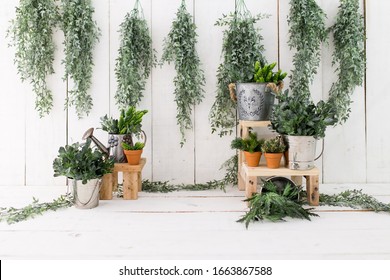 Garden backdrop for photosession. Garden background. Backdrop for baby sitter session. - Shutterstock ID 1663867588
