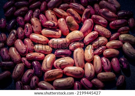 Garden beans Phaseolus vulgaris in the old land next to hamburg