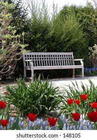 Garden Bench
