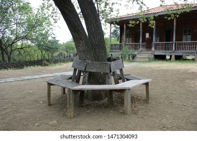 Royalty Free Bench Around Trees Stock Images Photos Vectors