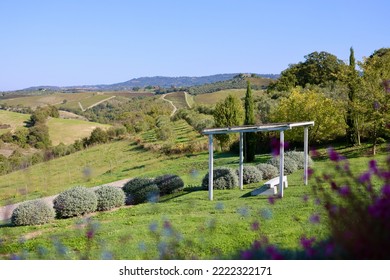 The Garden With Bench Of A Country House In The Famous Tuscan Hills, Tuscany, Italy.