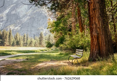 Garden Bench On The Hiking Trail In The Camping In The Yosemite National Park. Vacations In The USA