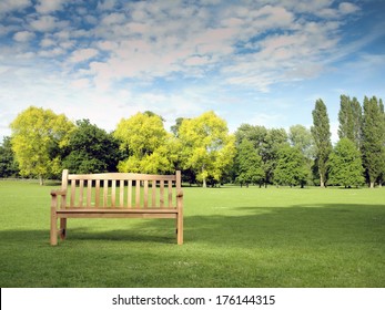 Garden Bench in park with trees