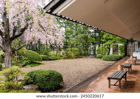 A garden with a bench and a tree with pink flowers