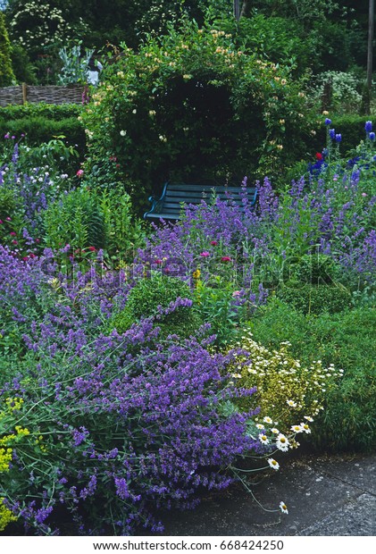Garden Bench Under Arch Honeysuckle Stock Image Download Now