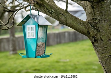 Garden bird feeder with seeds