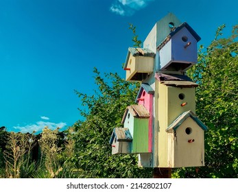 A Garden Bird House Colorful Houses Bird House Shelter Birds Beach Seaside Backyard