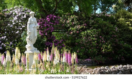 Garden in bloom