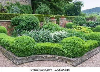 Garden Border Edged By A Box Hedge