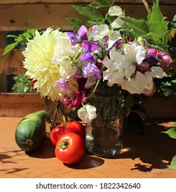 Garden Bounty. A Bouquet Of Sweet Peas, Dhalias, Freshly Picked Zucchini, Cucumber And Tomatoes.  Produce Is In Morning Sunlight On A Wooden Potting Bench.