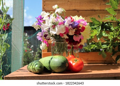 Garden Bounty. A Bouquet Of Sweet Peas, Dhalias, Freshly Picked Zucchini, Cucumber And Tomatoes.  Produce Is In Morning Sunlight On A Wooden Potting Bench.