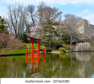 Garden At The Brooklyn Botanic Gardens On A Sunny Spring Day, New York, USA.