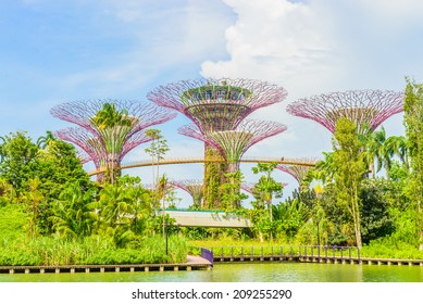 Garden By The Bay At Singapore