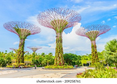 Garden by the bay at singapore