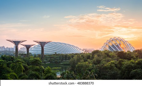 Garden By The Bay, Singapore