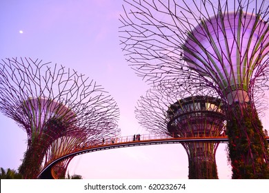 Garden By The Bay, Singapore