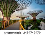 Garden by the bay in Singapore this is the most popular destination in Singapore