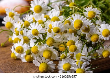 Garden Camomile Flowers Bouquet On A Yellow Concrete Table. Top View Flat Lay With Copy Space