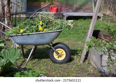 Garden Cart With Grass After Mowing Lawn Near Organic Waste Box