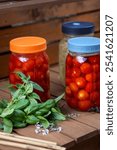 Garden cart wood counter and mason jars with fermenting cherry tomatoes and cabbage, surrounded by fresh basil and thai basil leave and straw hat