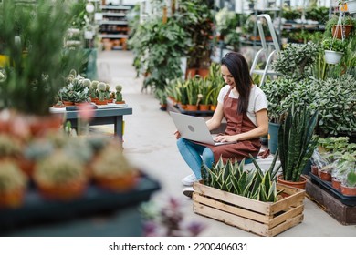 Garden Center Worker Using Laptop
