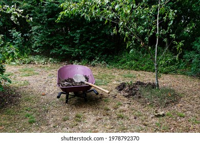 The Garden Chore Of Spreading Compost Around The Fruit Trees