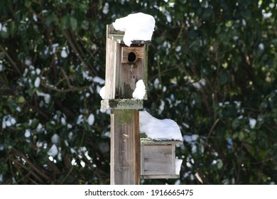 Garden City, New York, USA - February 8. 2021: Snow Covered Bird House