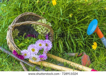 Similar – Wooden box filled with vegetables and flowers