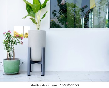 Indoor Plant Corner Images Stock Photos Vectors Shutterstock