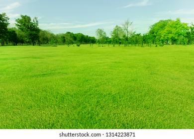 138 053 Open Grass Fields Images Stock Photos Vectors Shutterstock 138 053 Open Grass Fields Images Stock Photos Vectors Shutterstock