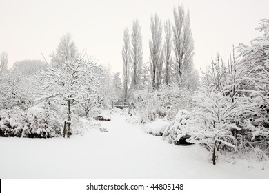 A Garden Covered In Snow