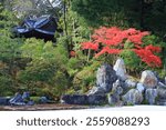 The Garden of the Crane Turtle in Kinchi-in.
The maples of Tsurushima are vividly colored